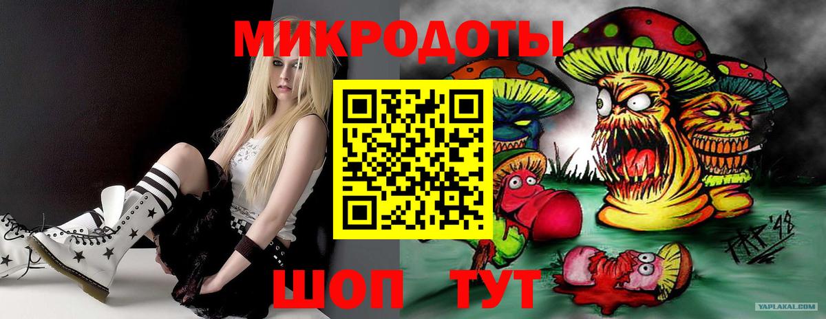 Галлюциногенные грибы Psilocybe  Вход с VPN  Чехов 